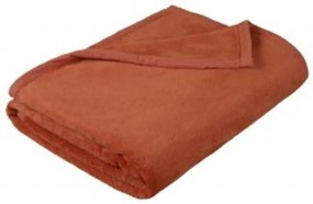 Brotex Mikro deka na dvojlôžko 200x230 cm Terra