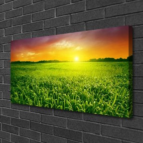 Obraz na plátne Obilie pole východ slnka 120x60 cm
