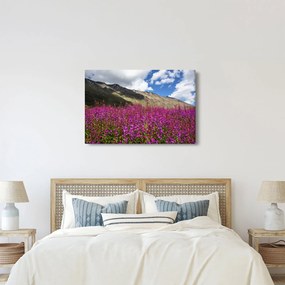 Obraz scenérie horské lúky (90x60 cm)