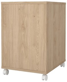 Skrinka v dekore duba v bielo-prírodnej farbe 41x61 cm Sign – Tvilum