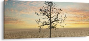 Obraz - Strom na púšti (120x50 cm)