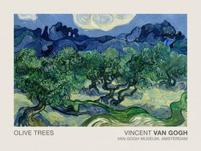 Umelecká tlač Olive Trees (Museum Vintage Abstract Landscape) - Vincent van Gogh, (40 x 30 cm)