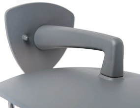 Klasická vonkajšia lampa na stenu tmavosivá IP44 - Platar