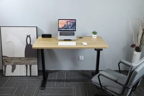 Výškovo nastaviteľný elektrický stôl BestBerg BBAT-12BWD / rozmer 120x60 cm / výška 93,4-125,4 cm / čierna/drevo