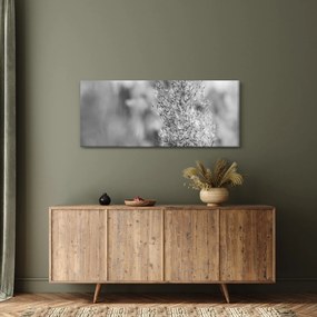 Obraz - Boho pampas grass (120x50 cm)