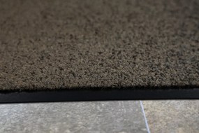 Rinos bv, Rohožka Care & Clean beige, 60x90, béžová, chodba / predsieň