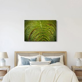 Obraz - Papraď (90x60 cm)