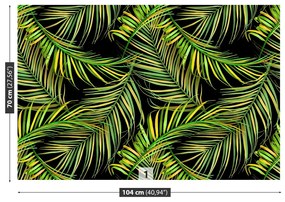 Fototapeta Vliesová Palmové listy 152x104 cm