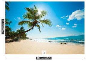 Fototapeta Vliesová Tropická pláž 312x219 cm