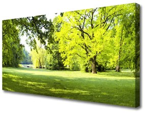 Obraz Canvas Tráva stromy park príroda 140x70 cm