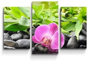 Sablio Obraz - 3-dílný Ružová Orchidea - 75x50 cm