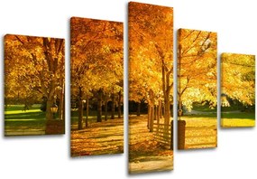 Obraz na stenu 5 dielny STROMY ST020E50