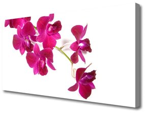 Obraz Canvas Kvety rastlina príroda 100x50 cm