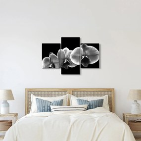 Obraz kvetu orchidey (90x60 cm)