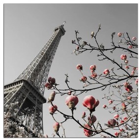 Obraz na plátne - Eiffelova veža v jarnom období - štvorec 334ČA (80x80 cm)
