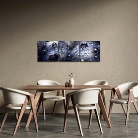 Obraz ovocia s kvapkami vody (s hodinami) (90x30 cm)