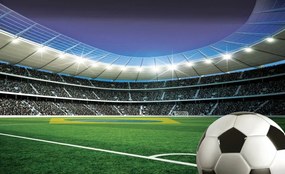Fototapeta - Futbal (152,5x104 cm)