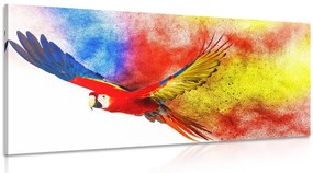 Obraz let papagája Varianta: 100x50