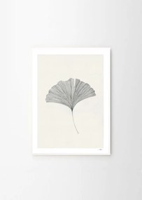 Plagát 50x70 cm Ginkgo Leaf – Ana Frois – The Poster Club