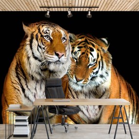 Fototapeta - Tigre (152,5x104 cm)