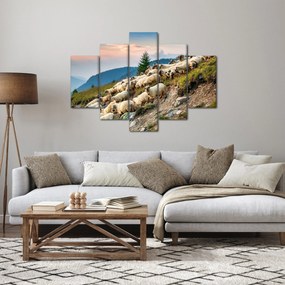 Obraz - Stádo oviec (150x105 cm)