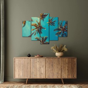 Obraz - Vysoké palmy (150x105 cm)