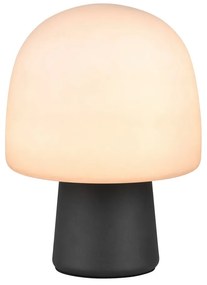 Čierno-biela stolová lampa so skleneným tienidlom (výška 27 cm) Steen – Trio