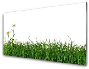 Obraz na skle Burina príroda rastlina 120x60 cm