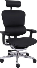 Grospol - Kreslo Ergohuman 2 Elite LE01