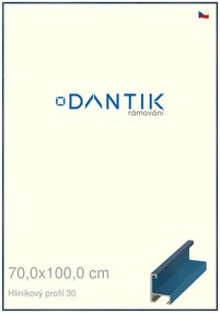 DANTIK rám na obraz 70x100 | ALU Dýha barevná modrá královská (Plexi Čiré)