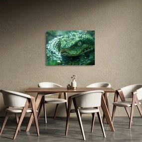 Sklenený obraz - Portrét hada (70x50 cm)