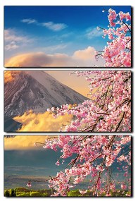 Obraz na plátne - Hora Fuji a čerešňové kvety na jar - obdĺžnik 7266B (90x60 cm  )