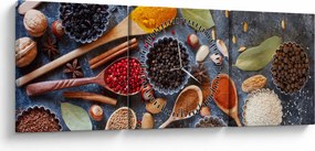 Obraz - Korenie (s hodinami) (90x30 cm)
