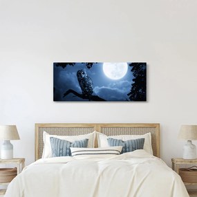 Obraz - Nočná sova (120x50 cm)