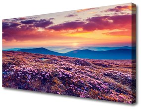 Obraz na plátne Lúka hory kvety príroda 100x50 cm