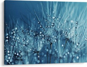 Obraz - Kvapky rosy (70x50 cm)