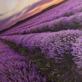 Obraz - Levanduľové pole pri západe slnka (150x105 cm)