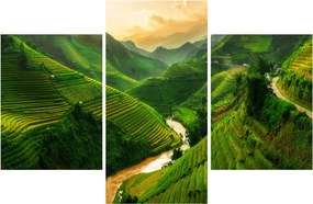 Obraz - Ryžové terasy Mu Cang Chai (90x60 cm)