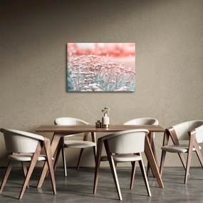 Obraz - Lúčne kvety (70x50 cm)