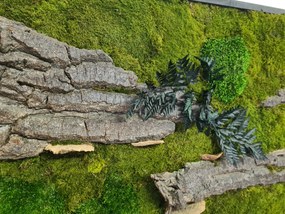 Machový obraz- lesný + provence mach a kôra 50cm x 100cm