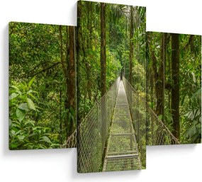 Obraz - Závesný most (90x60 cm)