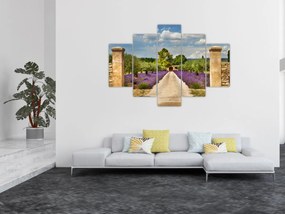 Obraz - Levanduľové cesty (150x105 cm)