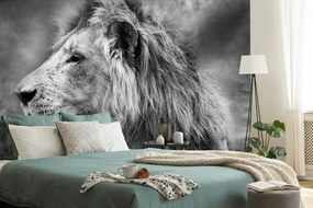 Samolepiaca tapeta africký lev v čiernobielom prevedení - 300x200