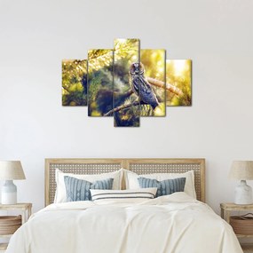 Obraz sovy na strome (150x105 cm)