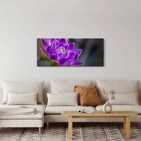 Obraz kvetu (120x50 cm)