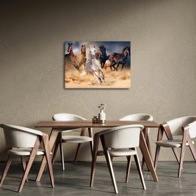 Obraz - Kone v púšti (70x50 cm)