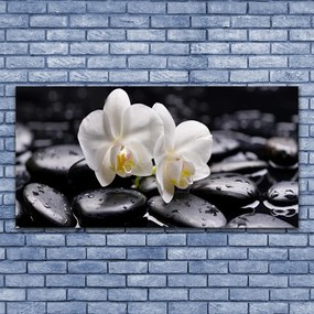 Obraz plexi Kamene zen biela orchidea 120x60 cm