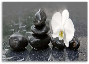 Obraz na plátně Orchid Stone Zen Spa - 60x40 cm