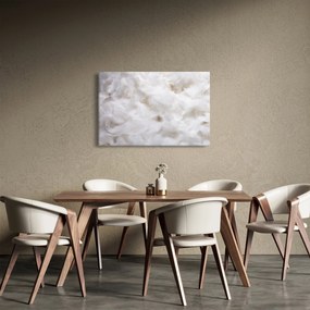 Obraz - Biele perie (90x60 cm)