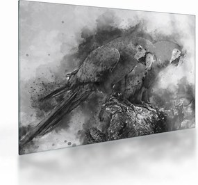 Sklenený obraz - Akvareloví papagáje (70x50 cm)